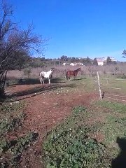 Les gros en très bonne forme !
