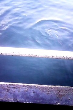 istanbul bogazi balik keyfi ve bogaz manzalari ucretsizokeyoyna.com