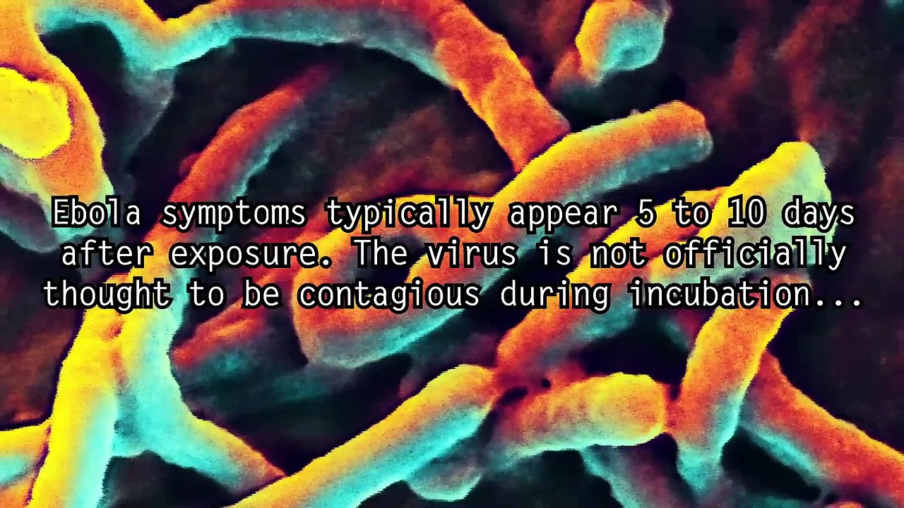 5 Terrifying Facts About Ebola Illuminati Ebola Outbreak 2014