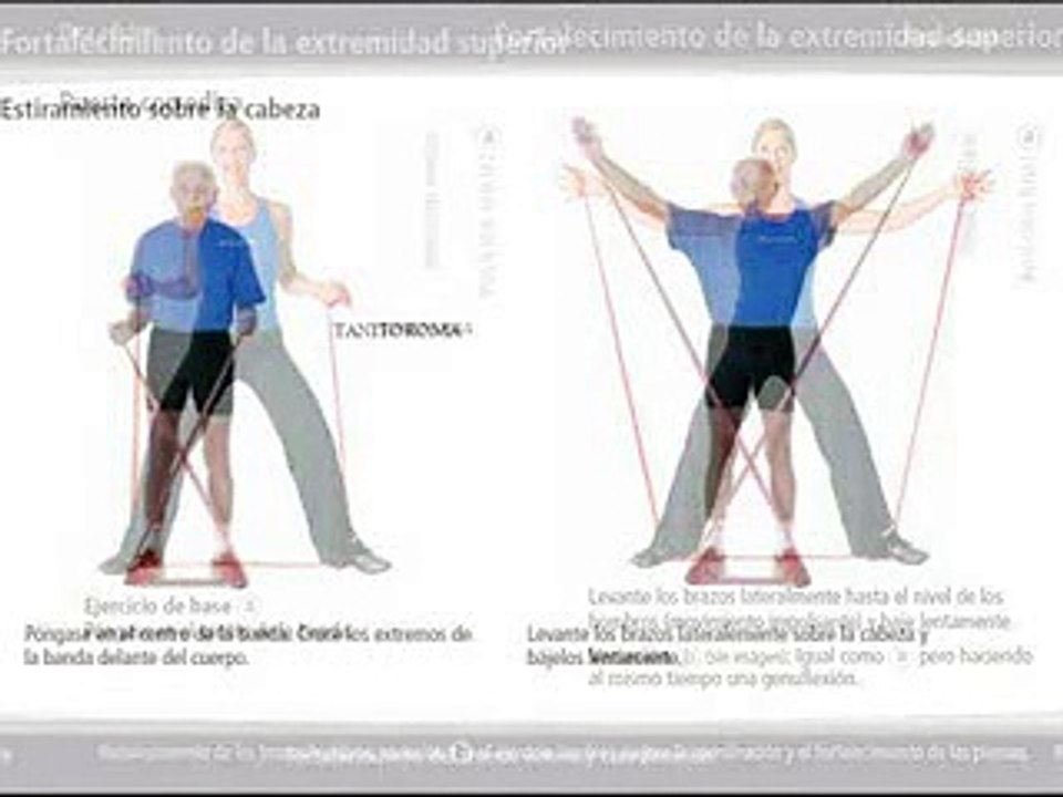 ejercicios sin pesas 2014 nuevo