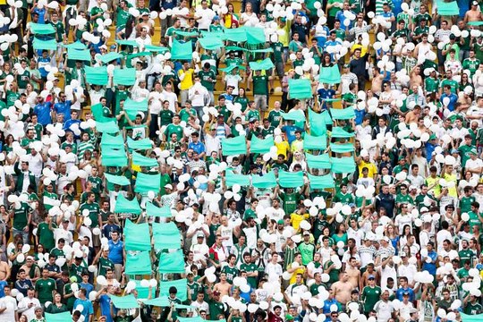 Palmeirenses dizem quem gostariam como novo presidente do clube