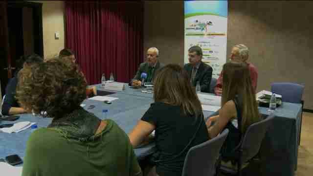 Sweeteners, an option in the fight against obesity and diabetes