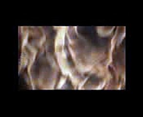 Download heyelighter commercial edition v.1.0 crack elite edition