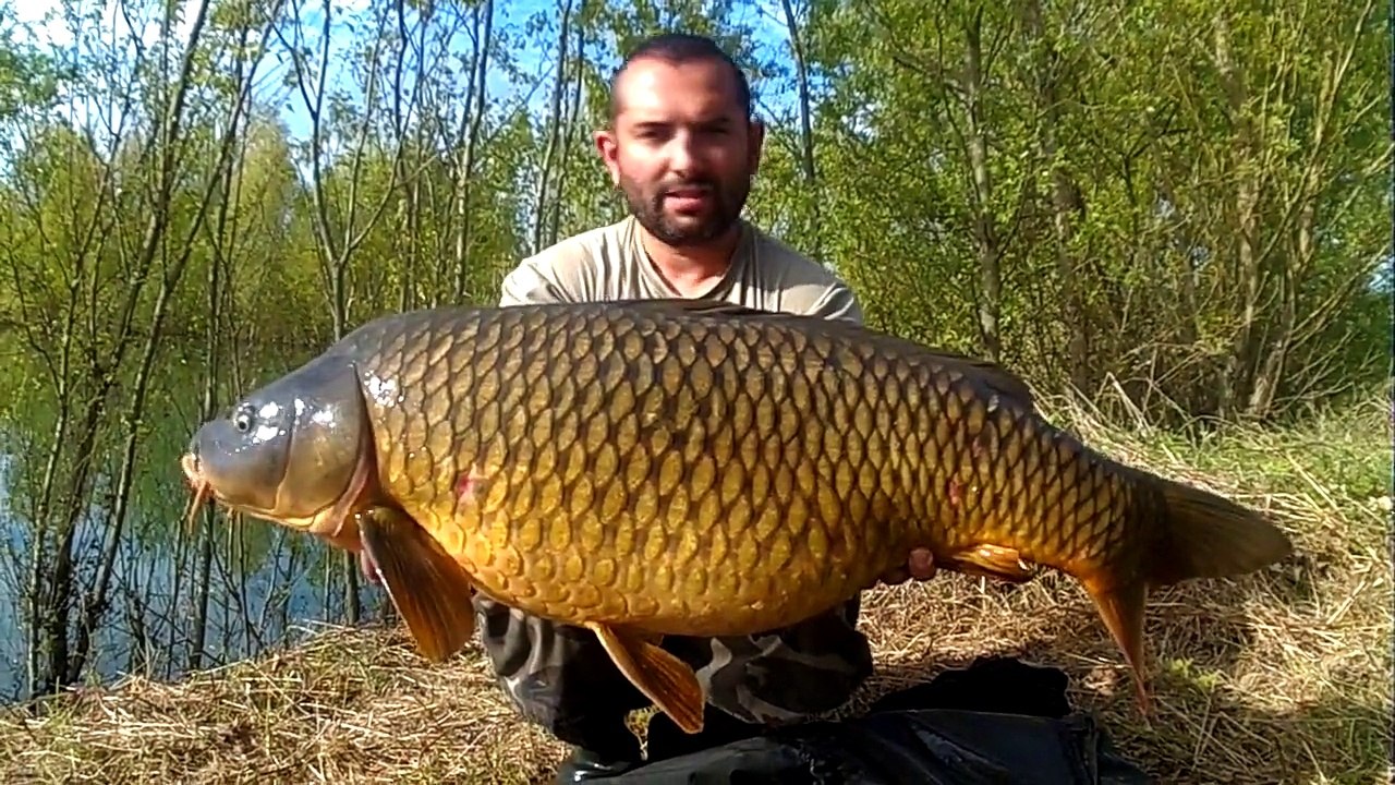 Debut de saison 2014