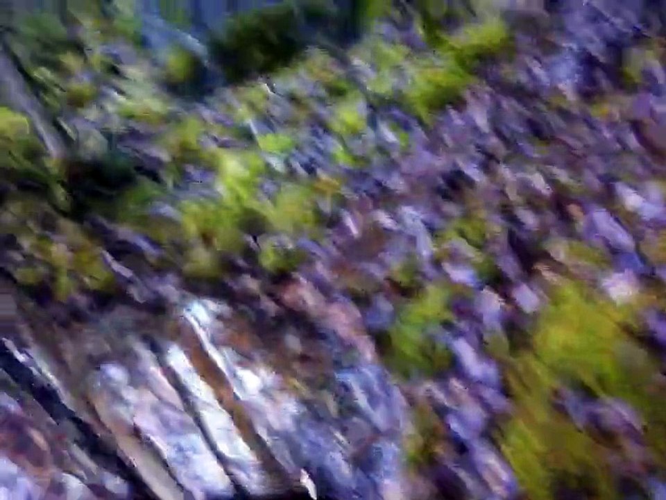 Nov 13 2014 2