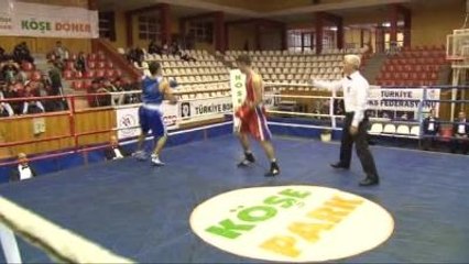 Kangal Köpeği Ringe Çıktı, İlgi Odağı Oldu