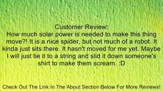 Educational Solar Powered Energy Spider Robot Toy Gadget Gift Review