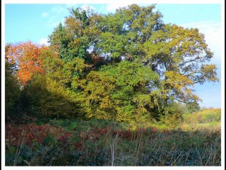 ma commune en novembre