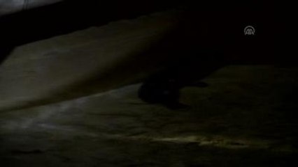 Polisin "Dur" İhtarına Uymayarak Kaçan Araç, Kaza Yaptı