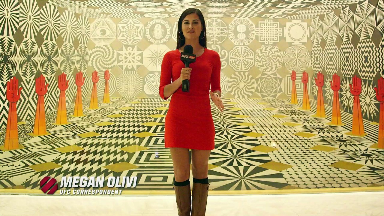 UFC 180: Media Day Highlights