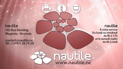 La fiabilité de la biométrie en question  (Podcast Océane FM / Nautile Internet - 11 novembre 2014)