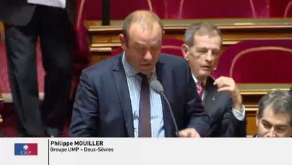 Emploi :  " Quand est-ce que le gouvernement prendra des décisions courageuses sur le RSA et la prime pour l'emploi ? "