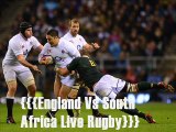 Big Rugby Match England vs South Africa 15 nov 2014 live