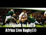 2014 Don’t miss Rugby Match England vs South Africa