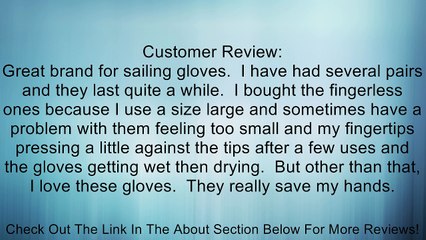 Gill Championship Gloves - Short Finger Review