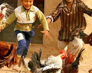 Triangle 3 pakistanis must watch these persons