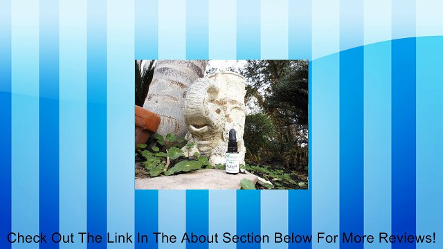 Tea Tree Oil With Dropper 15 ml 100% Pure, Natural Organic Australian Melaleuca Essential Oil, Undiluted, Antibacterial, Hair Cleanser, Blemish & Acne Reducer, Wound Healing - Mix in Your Own Dandruff Shampoo, Soap, Face Wash, Body Wash, Cream, Lotion, To