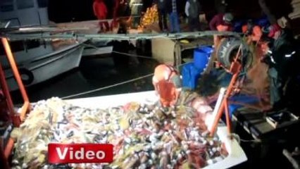 Tutulan Palamutlar Tekneye Sığmadı