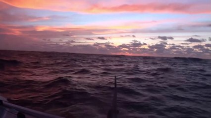 Très beau lever du jour sur Sncf Geodis - Newrest