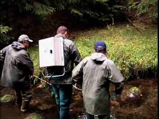 PÊCHE : Électrique au Mont Aigoual