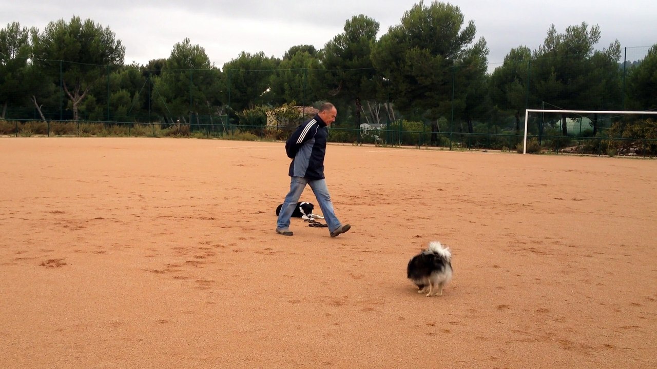 Dressage Canin la Ciotat 13, Education du chiot Talia 4 mois