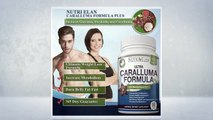 Caralluma Plus Nutri Elans Latest Fat Burning Supplement