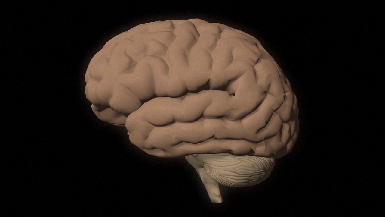 La maladie d'Alzheimer