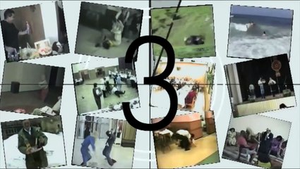 Funny Animals Funny Home Videos Hilarious Horse Act Ever