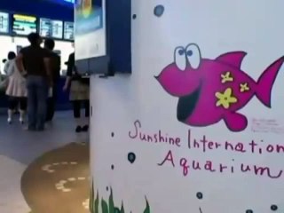 New Animal Funny Videos 2014 Cute Baby Anteater! Funny Videos