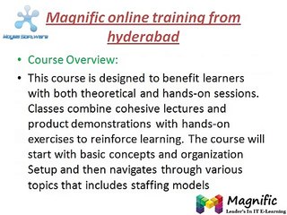 Workday online training-magnific