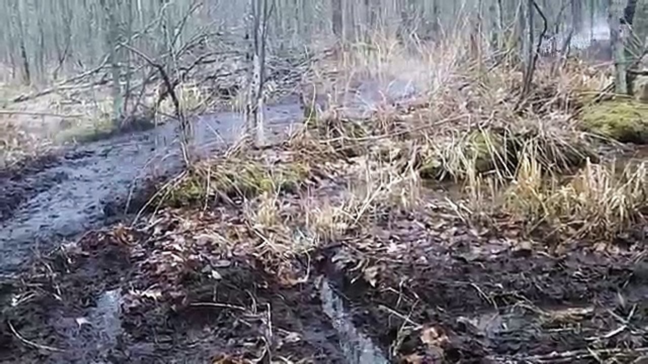 Polaris Off Road Vehicles India