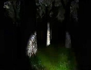 Download collectorz.com music collector v.10.2.1 crack 100% working