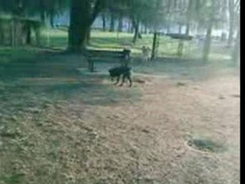 VID000