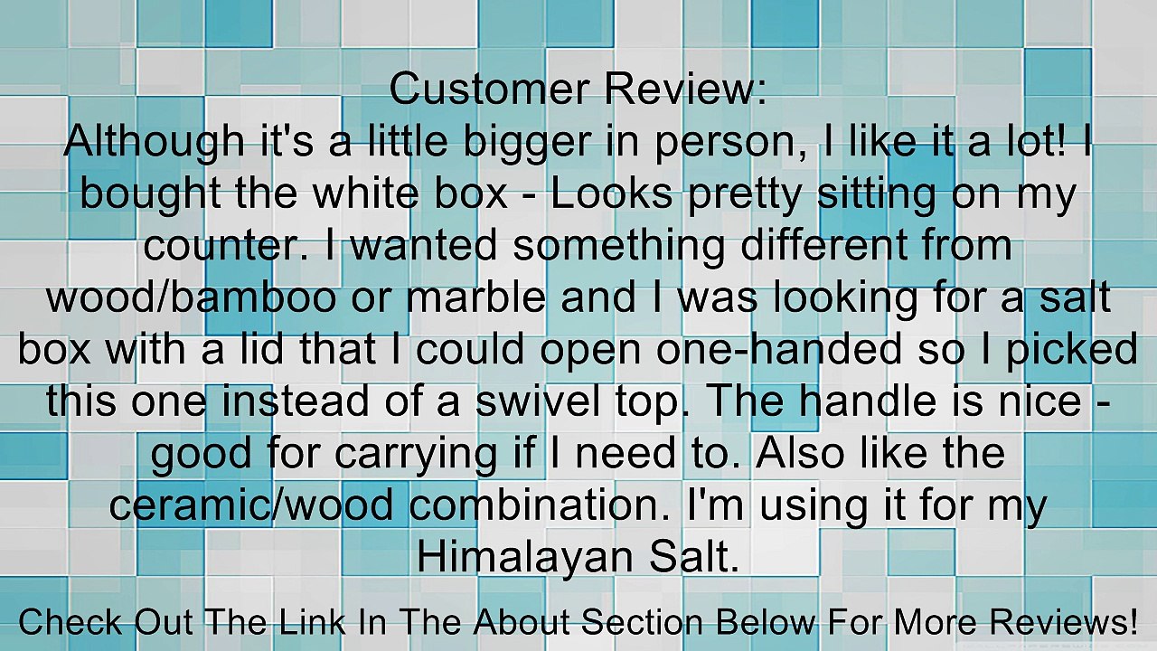 Bee House Salt Box Review