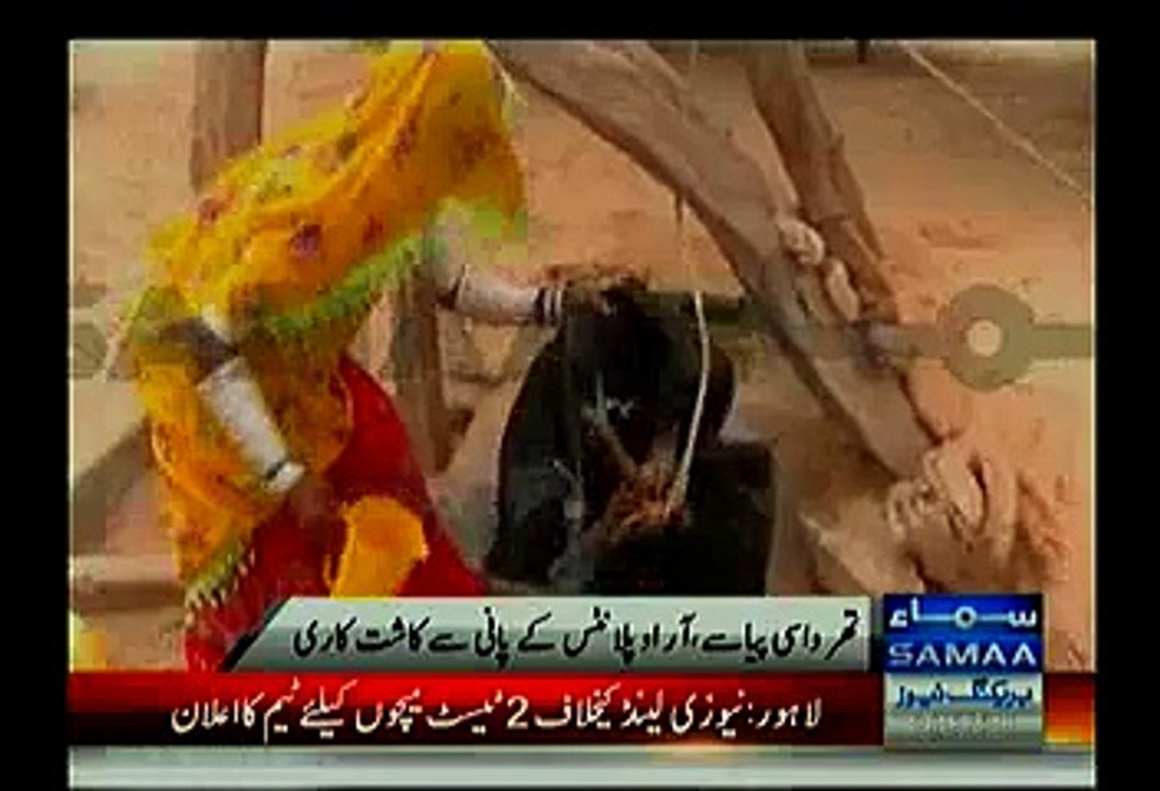 Sindh Gov't Installed RO Plants For Thar's Inhabitants But They Are Being Used For Fertilization Purpose