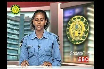 Ethiopia - Man who stole 300K sentenced to 6 years
