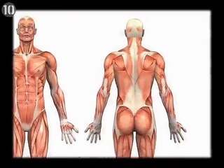 10 Parts Of Your Body You Didn't Know The Name For