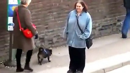 Lady Dances Like Nobody&#039;s Watching At A Bus Stop  Video