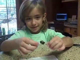Little Girl And Her Carpenter Bee Pet  Video