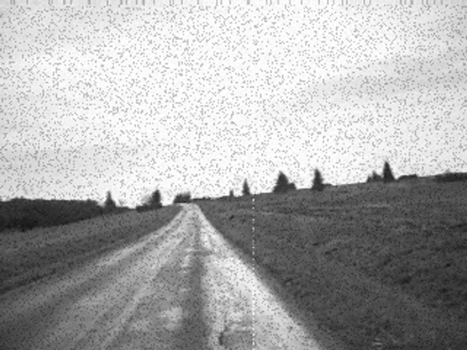 kiking kong - trailer 1