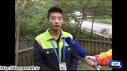 Dunya News - Twin White Cubs in China