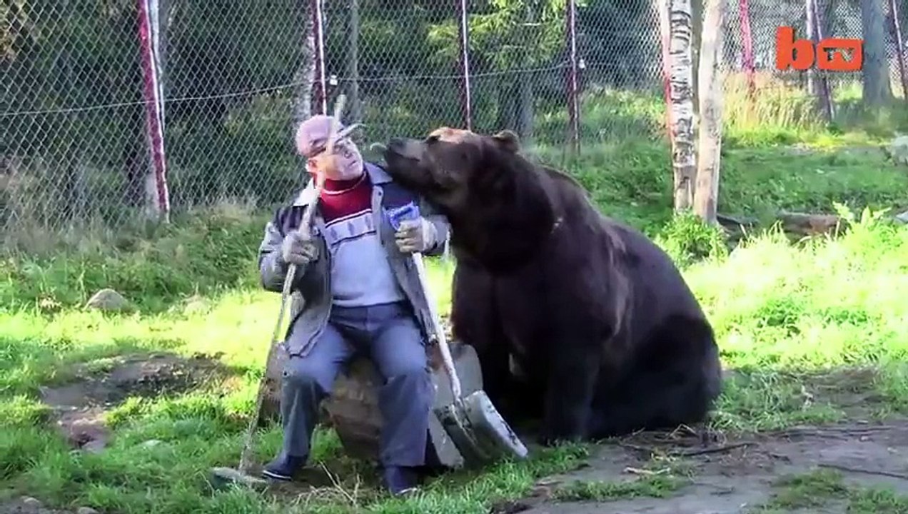 The Bear man  Video