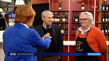 La fête des Grands Vins à Beaune : Direct Midi