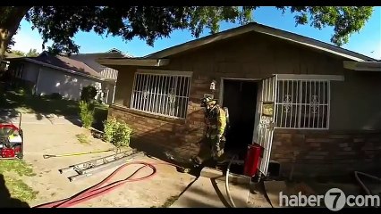 Gazdan zehirlenen kedinin mucize kurtuluşu