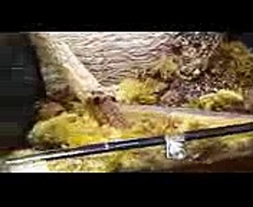 Download um dvd to ipad video converter v.2.1.3.1 crack elite edition