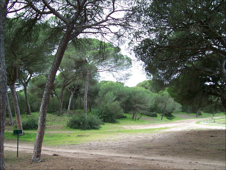Cádiz