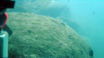 Mares, Cavernas submarinas, Litoral Norte, Paulista, SP, Brasil, mergulhos de observação marinha em apneia, show nos mares,  parte 11