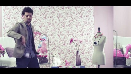 Girl of my Dreams - Nils & the Gooses