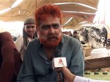 Voice Over- Sohrab Goth  Cattle Mandi-Javed