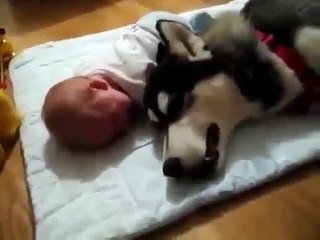 Ally & Day, Dog teaching baby to jump